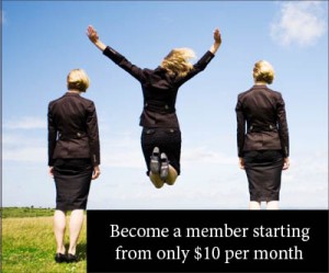 womenbiznetworkad_member
