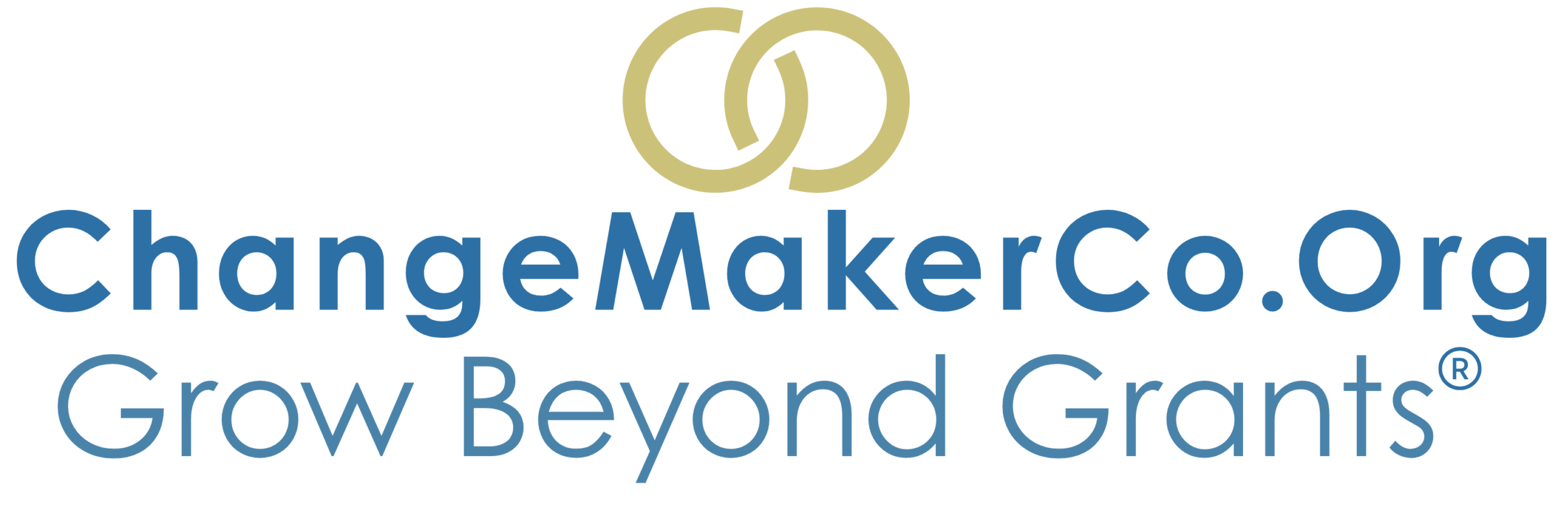ChangeMakerCo.Org: Helping Social Enterprises Grow Beyond Grants®